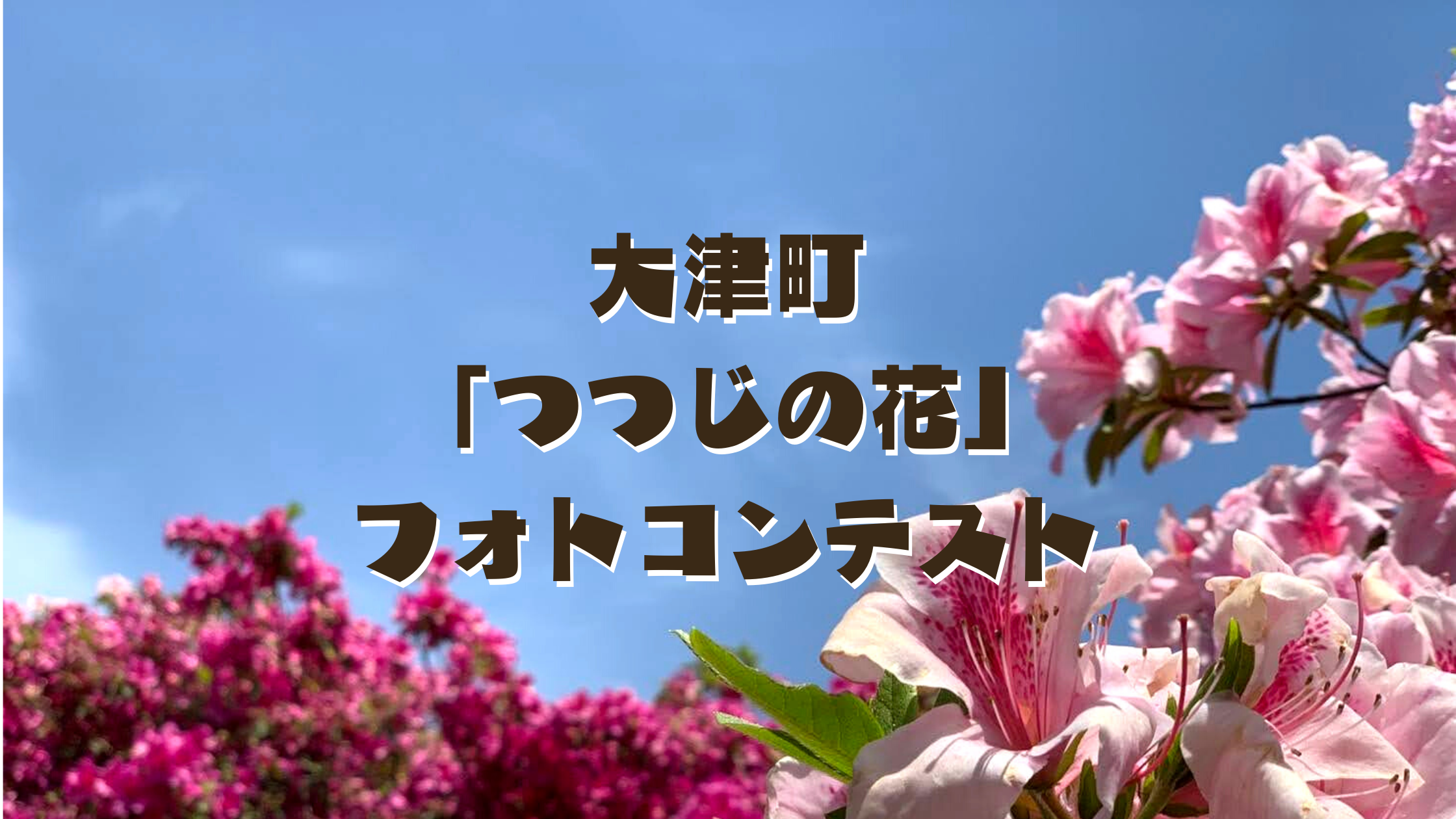 22年 大津町 つつじの花 フォトコンテスト